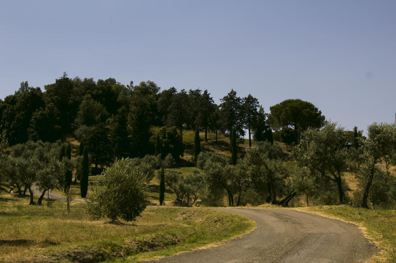 Agriturismo Aia Leccioni Micciano Exterior foto